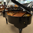 2014 FANCY William Knabe grand piano - Grand Pianos